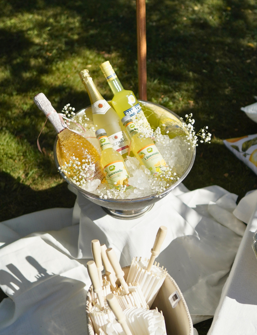 Raum & Table Styling Package